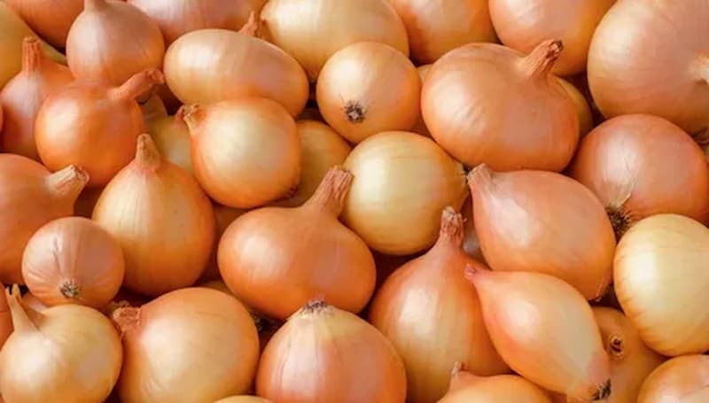 تصویر 1 از پیاز با پوسته نازک و ظریف برای آسانی در پوست گیری